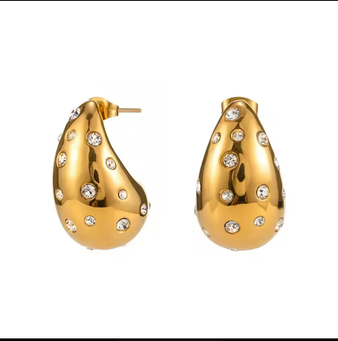 Sparkle Loe Earrings